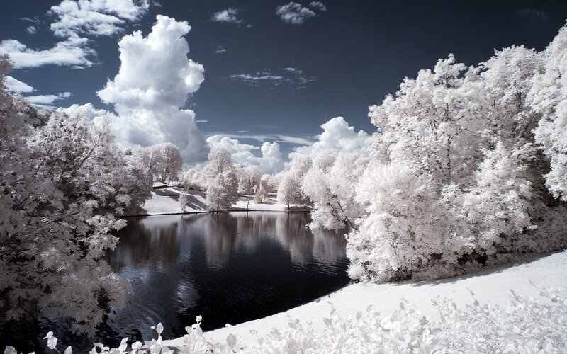 Infrared Forest Lake — White, Dramatic, Photograph, Trees