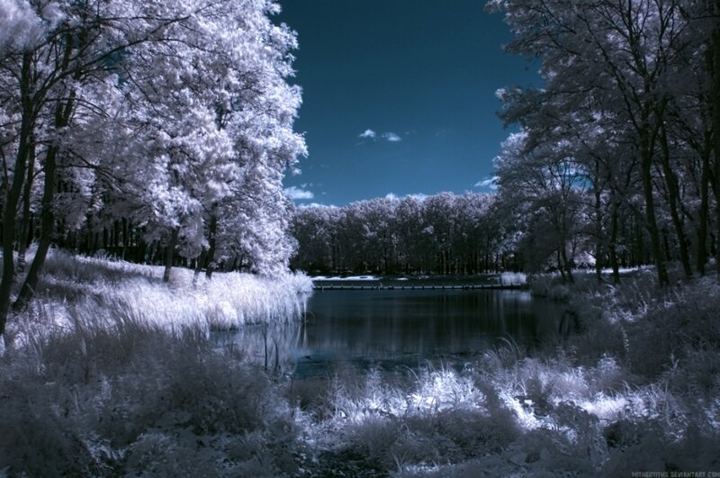 Infrared Forest Pond