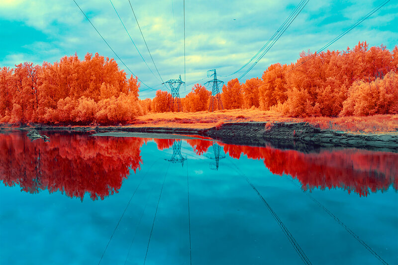 Infrared Forest Reflection — Blue