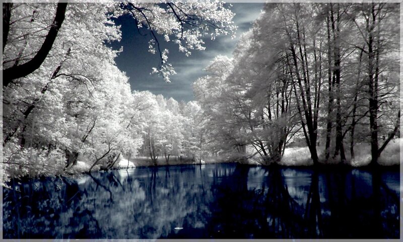 Infrared Forest River