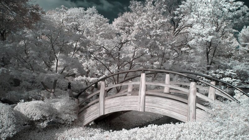 Infrared garden bridge
