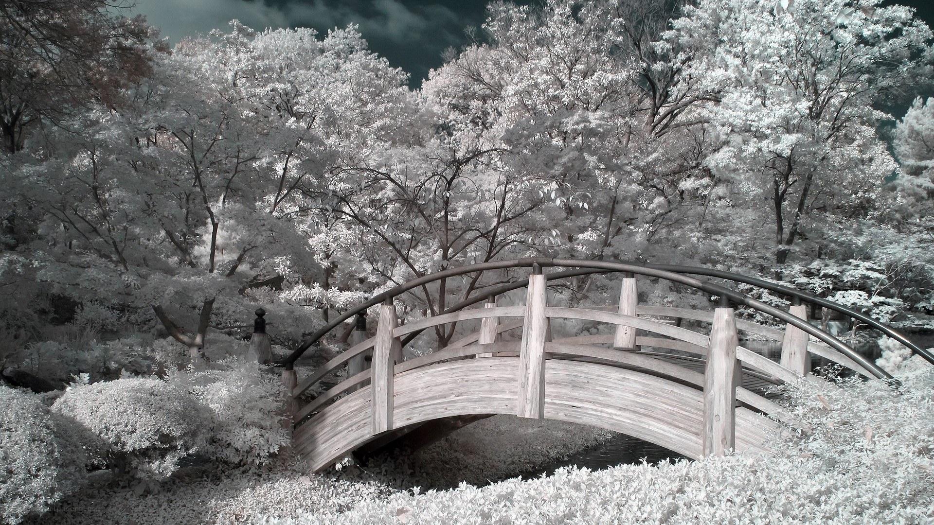 Infrared garden bridge