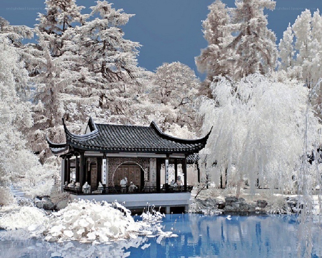 Infrared garden pavilion