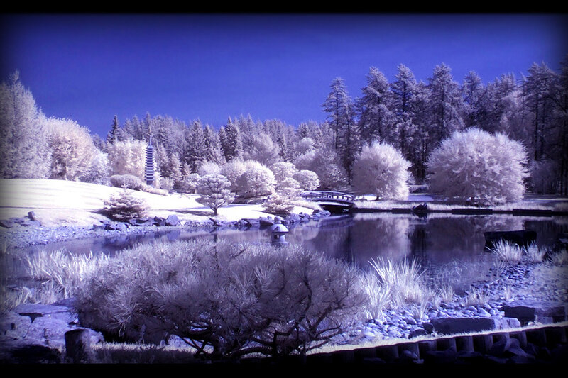 Infrared Garden Pond — Blue
