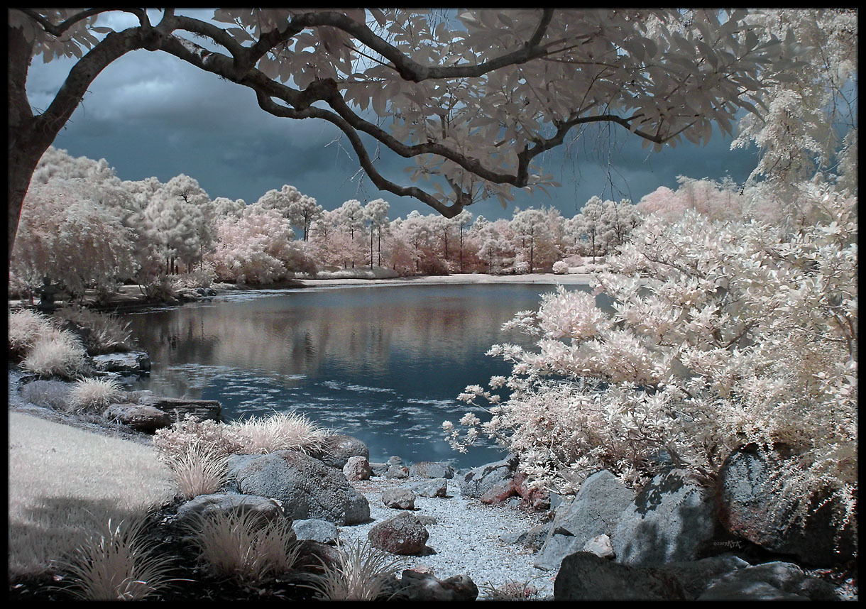 Infrared garden pond