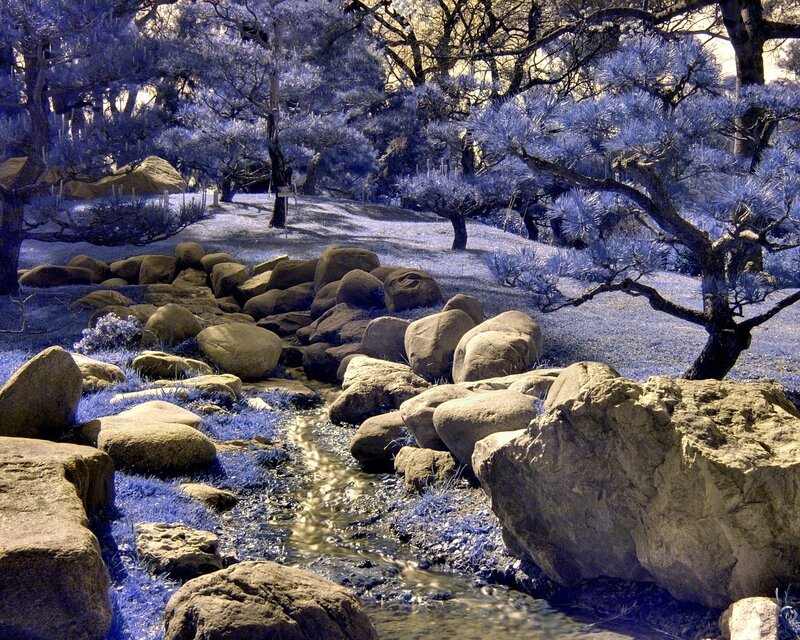 Infrared garden stream