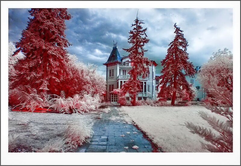 Infrared House in Garden
