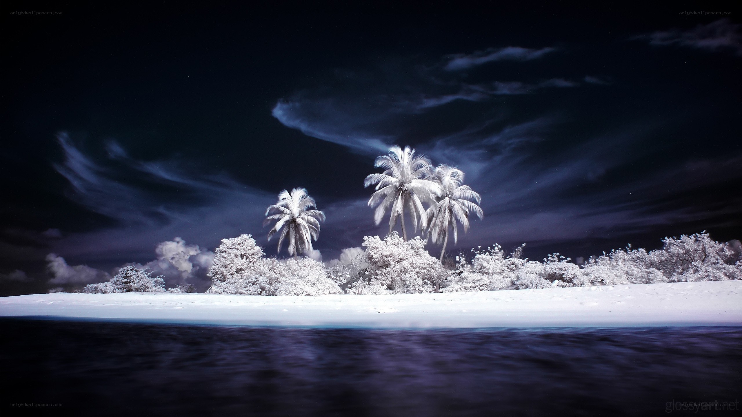 Infrared island at night