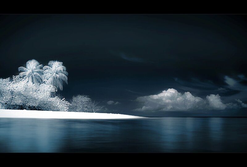 Infrared Island with Palm Trees