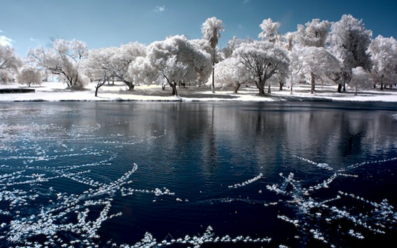 Infrared lake and trees