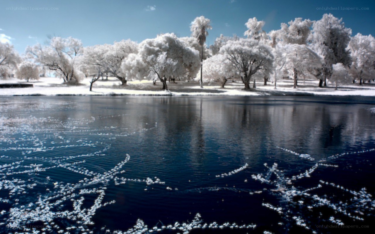 Infrared lake and trees