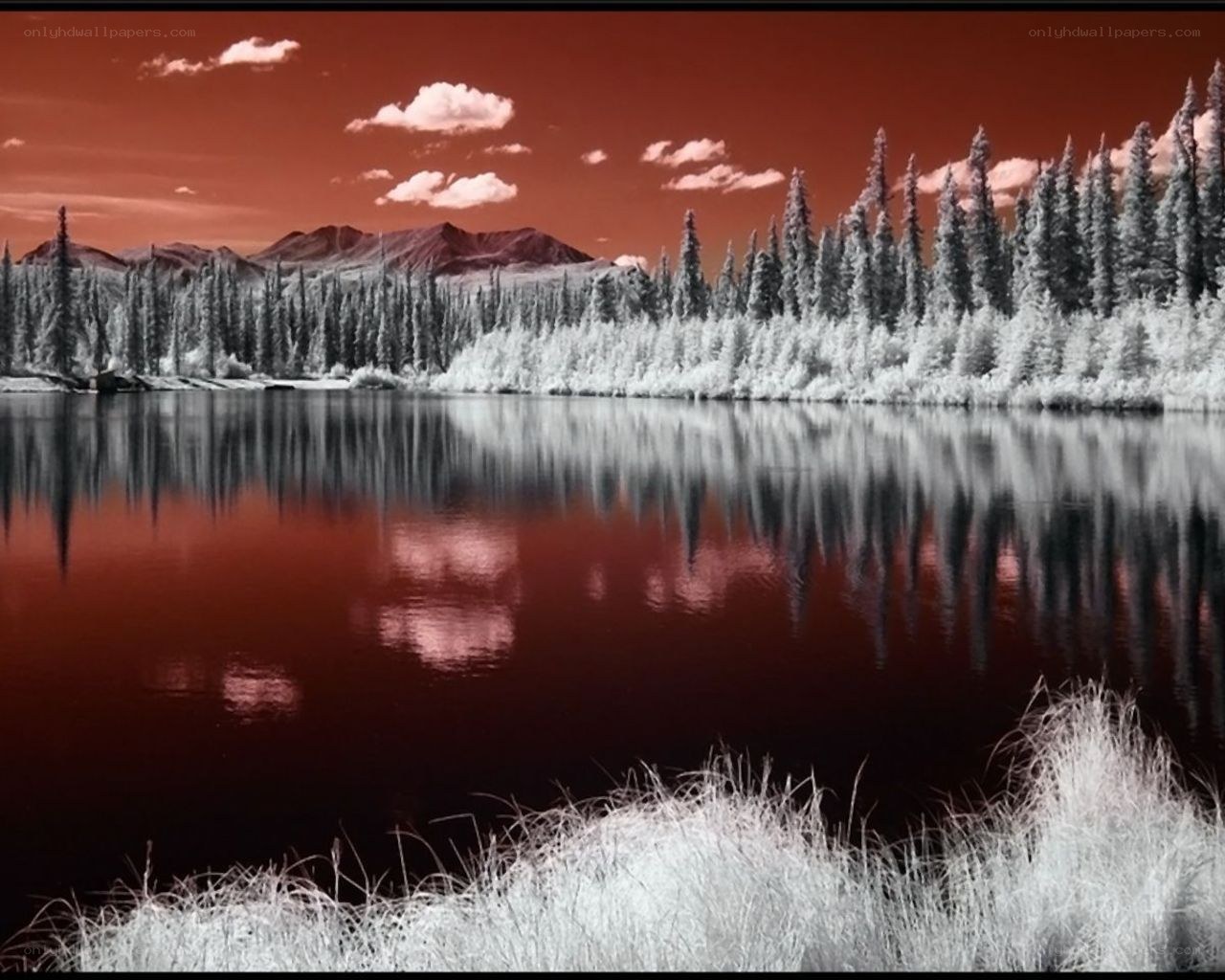 Infrared lake landscape