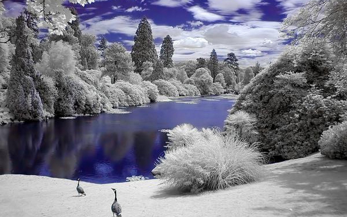 Infrared lake landscape