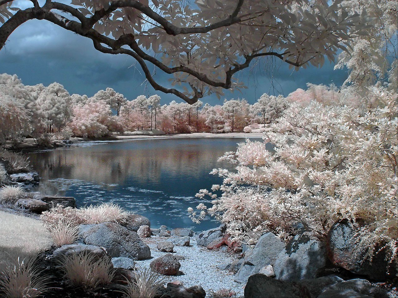 Infrared lake landscape