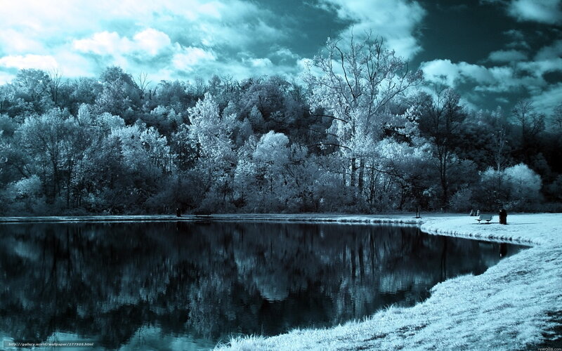 Infrared Lake Landscape — Blue, Serene, Photograph, Trees, Bench, Clouds