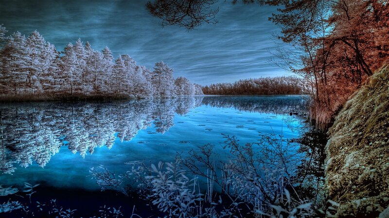Infrared Lake Landscape — Blue, Serene, Photograph, Trees, Reflection, Sky, White, Brown