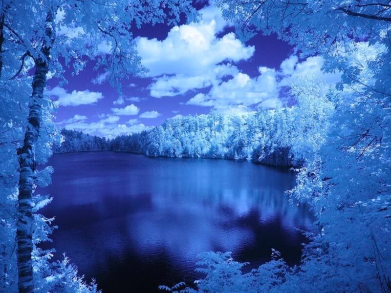 Infrared Lake Landscape — Blue, Serene, Photograph, Trees