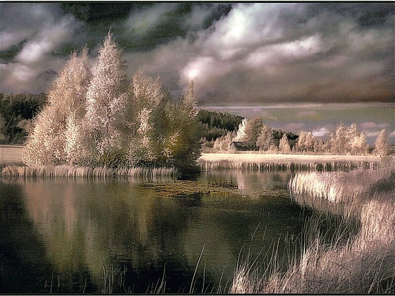 Infrared Lake Landscape — Green