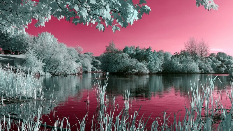 Infrared Lake Landscape — Pink, Serene