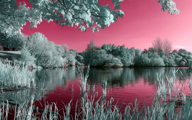 Infrared Lake Landscape — Pink