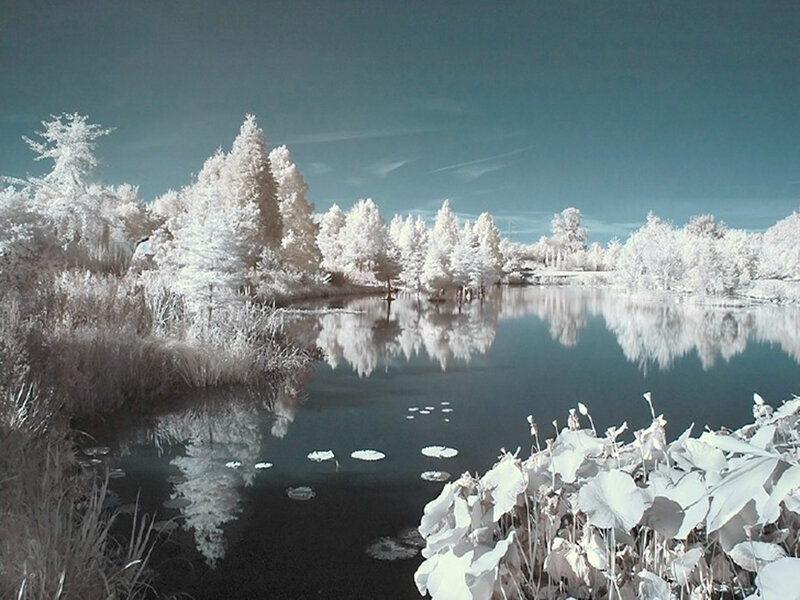 Infrared Lake Landscape — White, Serene, Photograph