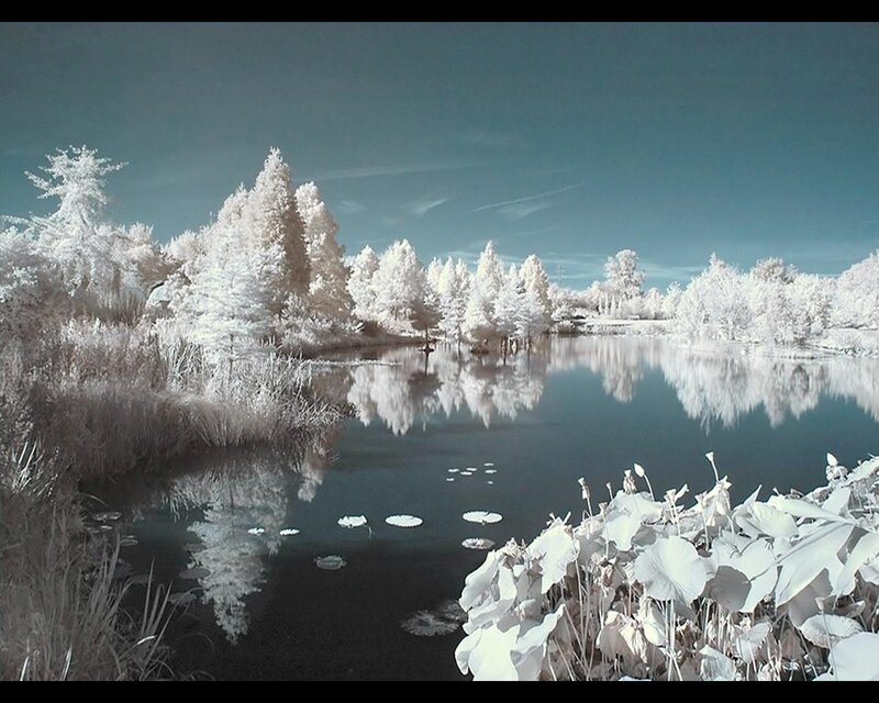 Infrared Lake Landscape — White, Serene
