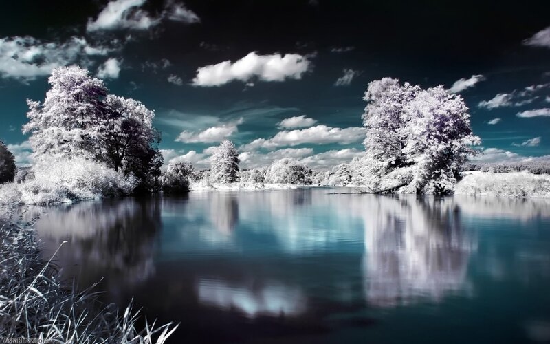 Infrared Lake Landscape — White