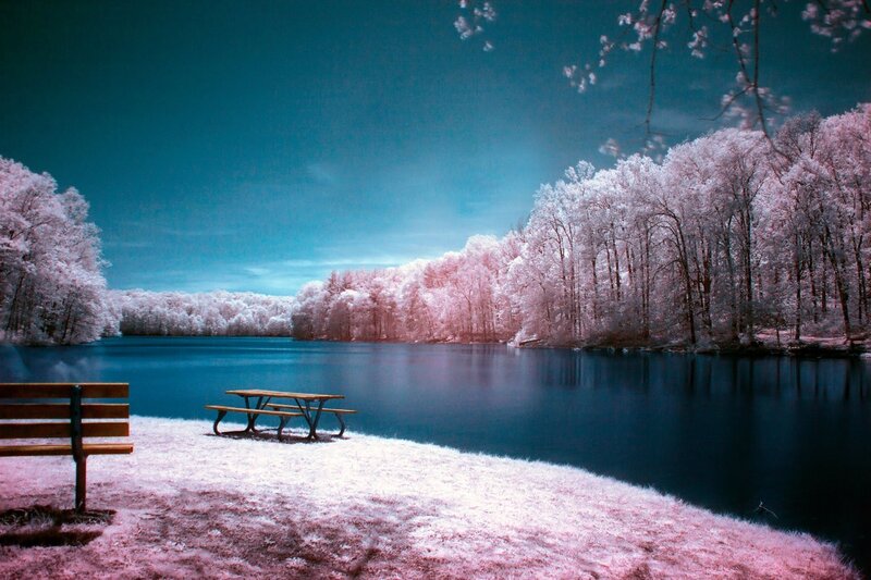 Infrared lake scene