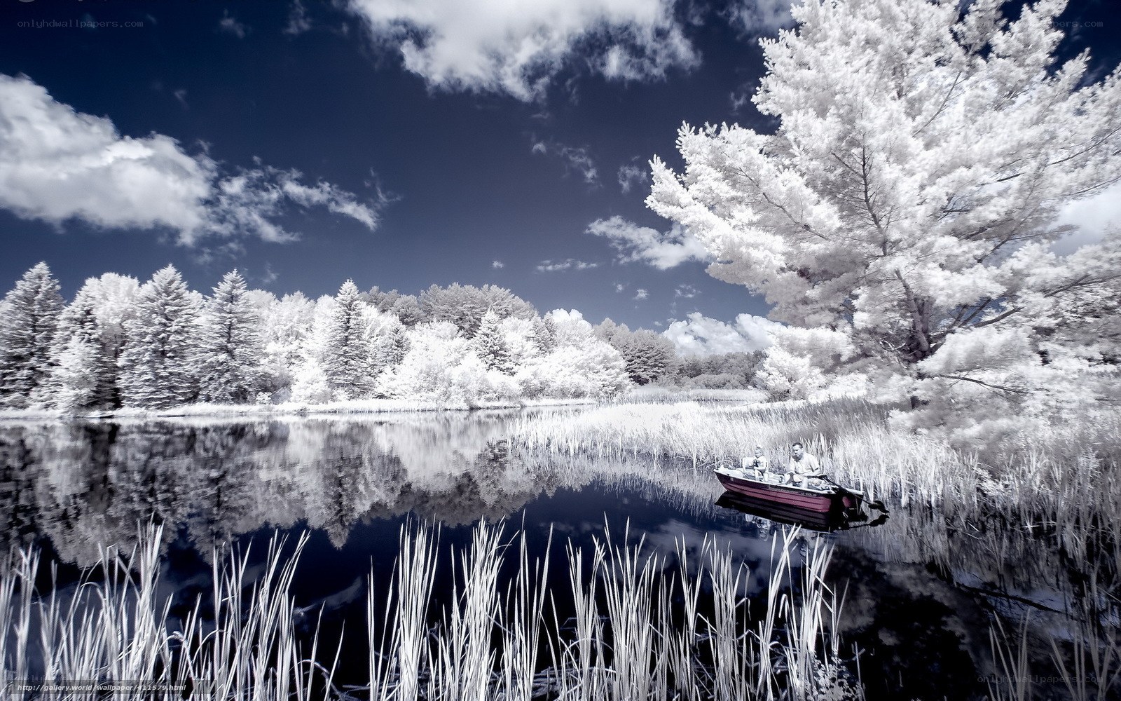Infrared lake scene with boat