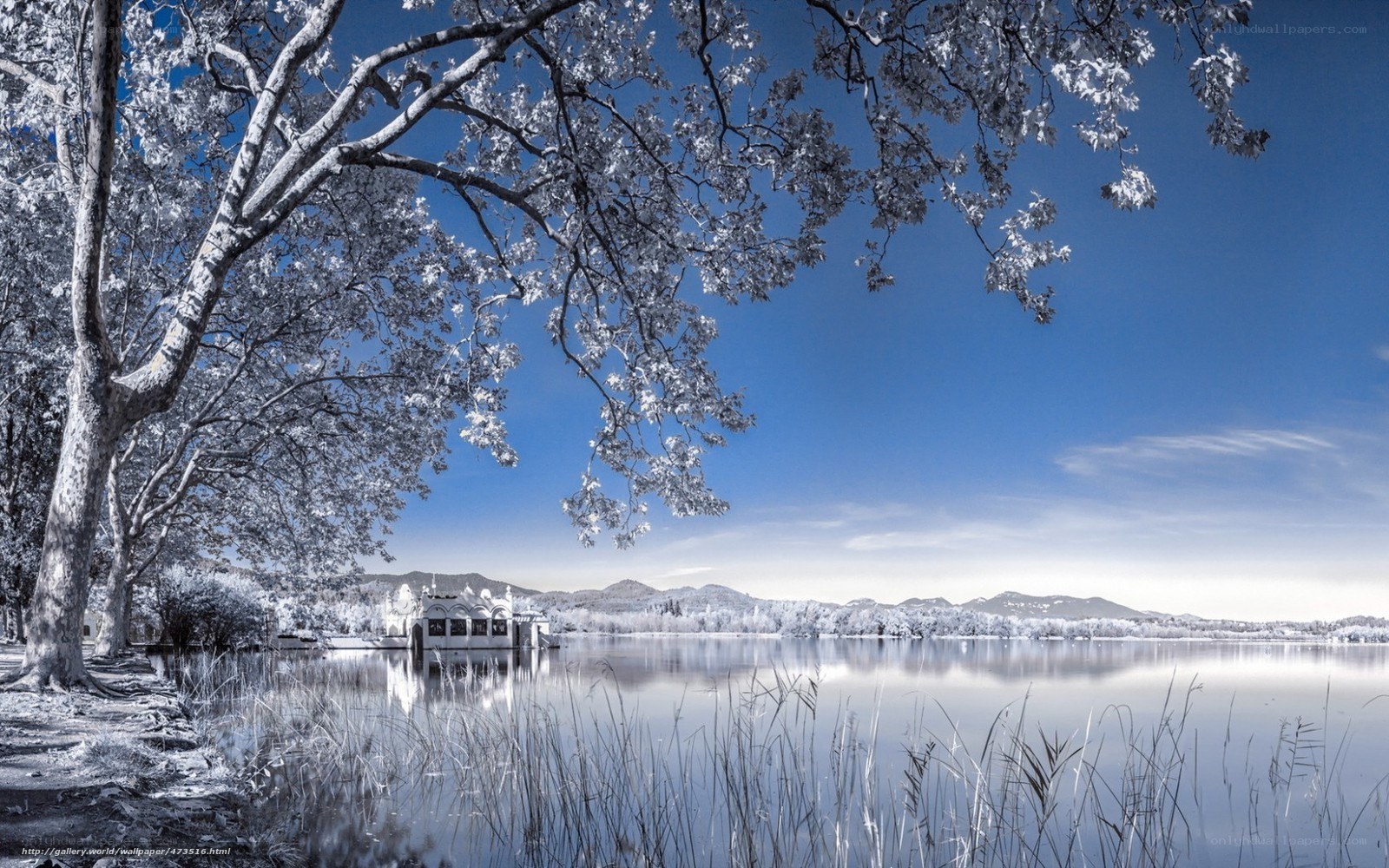 Infrared lake scene with trees