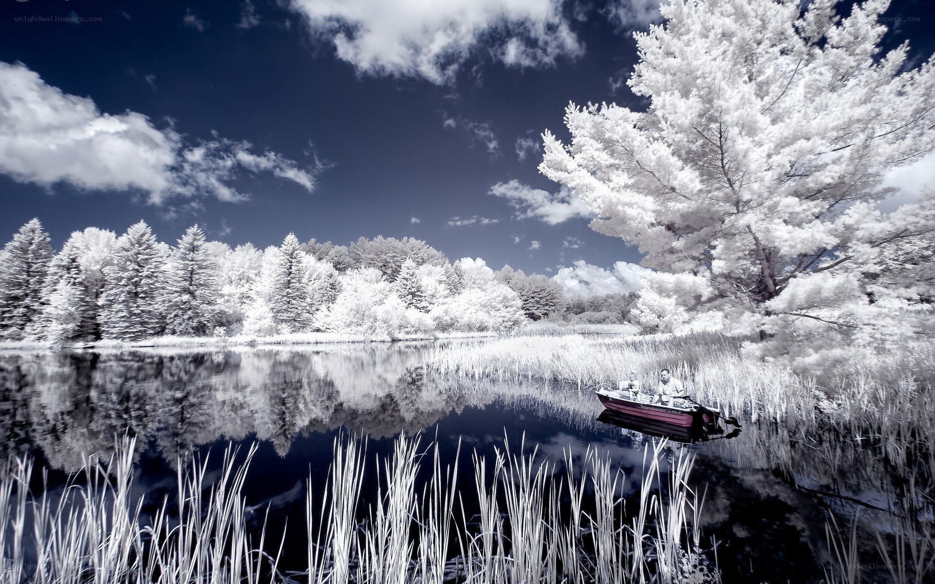 Infrared lake with boat