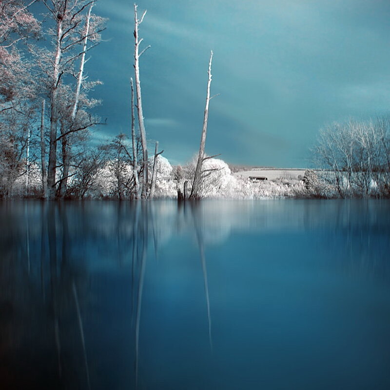 Infrared lake with dead trees