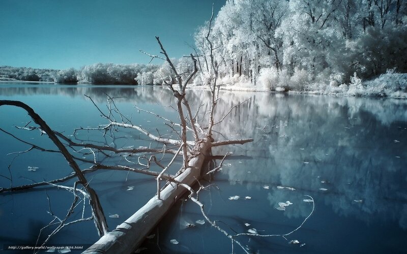 Infrared lake with fallen tree