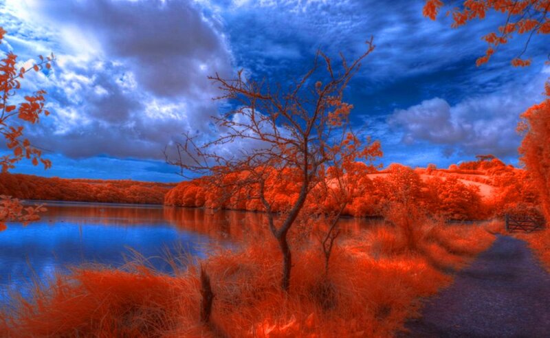 Infrared Landscape — Blue