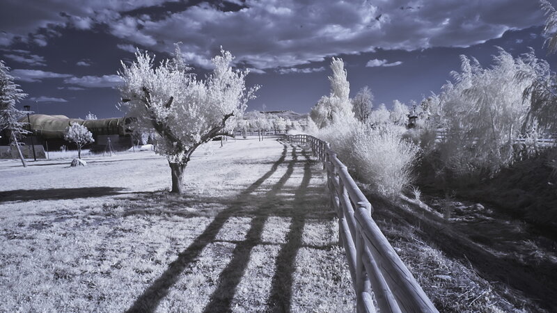 Infrared Landscape Path