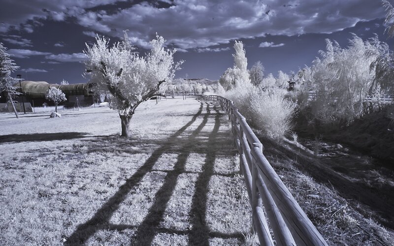 Infrared Landscape Path — White, Dramatic