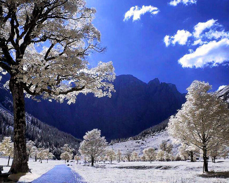 Infrared Landscape