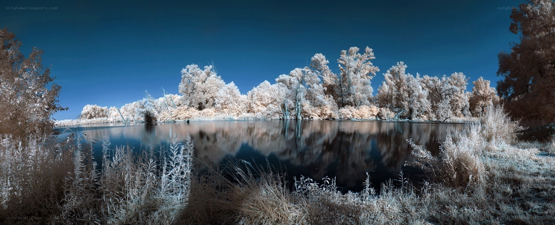 Infrared landscape with lake