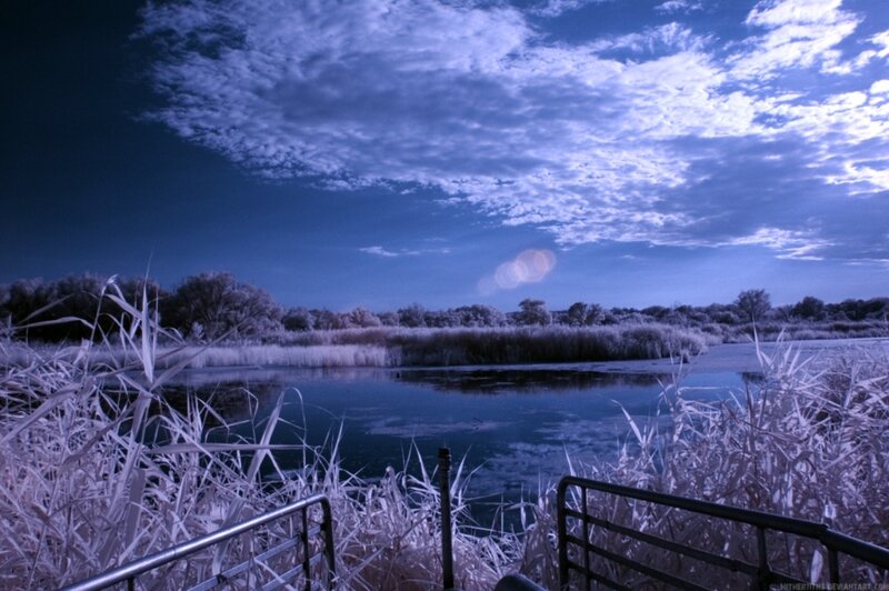 Infrared Landscape with Lake — Blue, Serene, Night