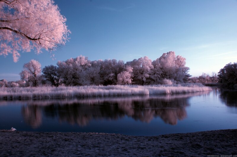 Infrared Landscape with Lake — Blue, Serene