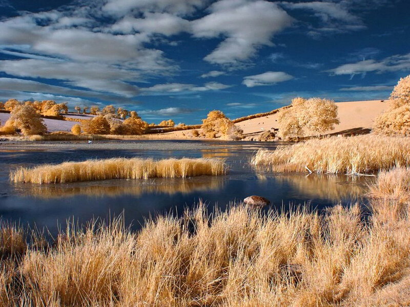 Infrared Landscape with Lake — Blue