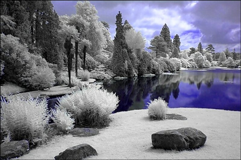 Infrared Landscape with Lake — Purple