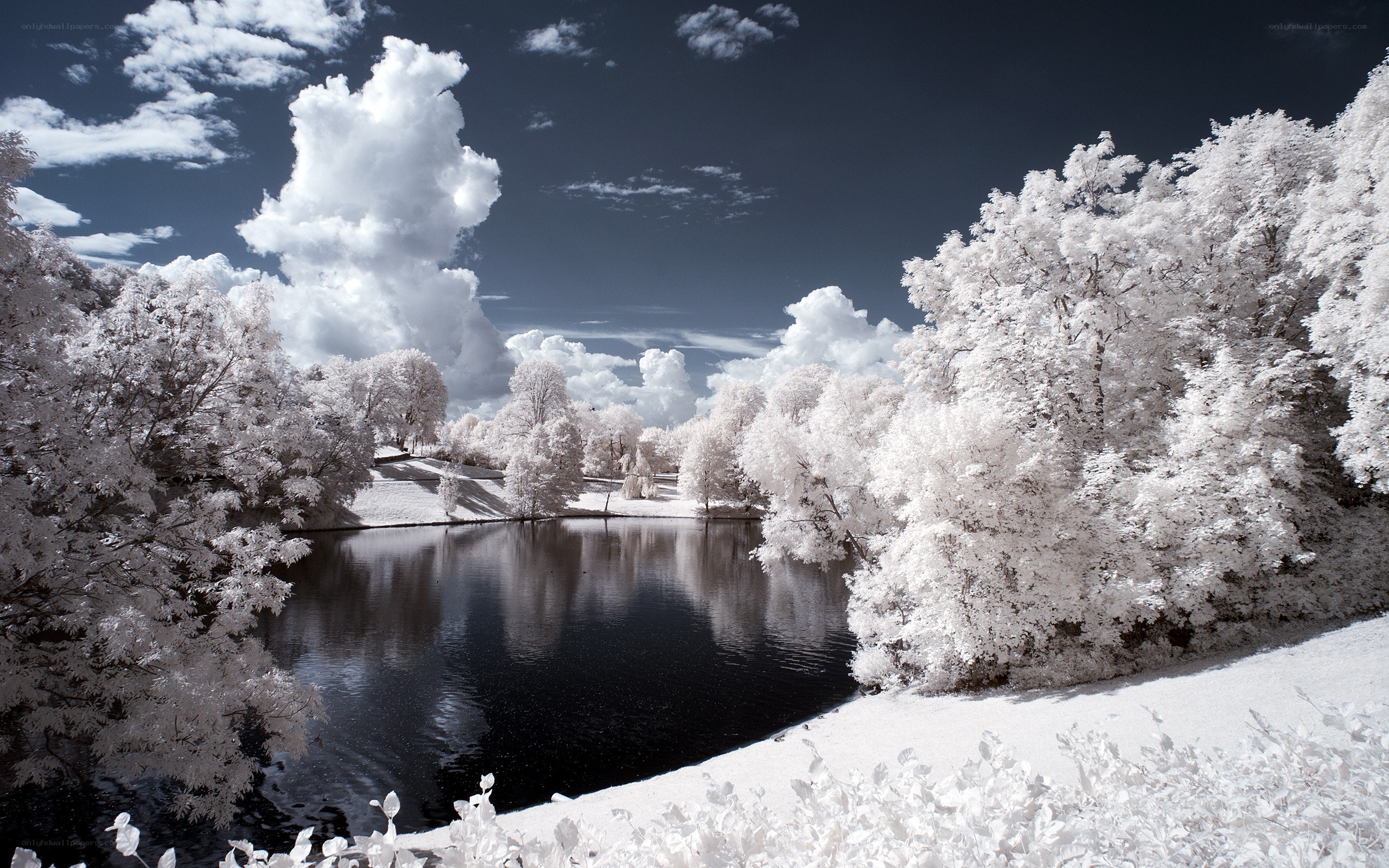 Infrared landscape with lake