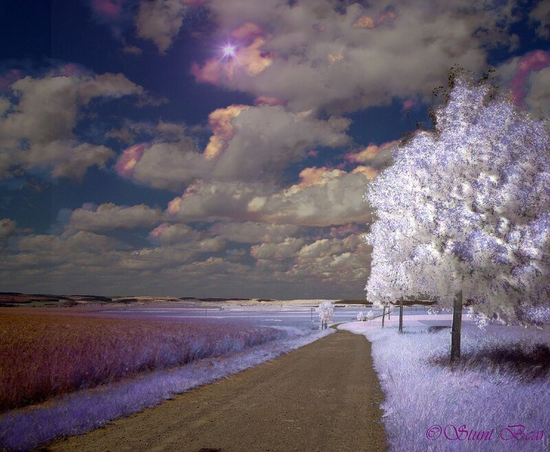Infrared landscape with path