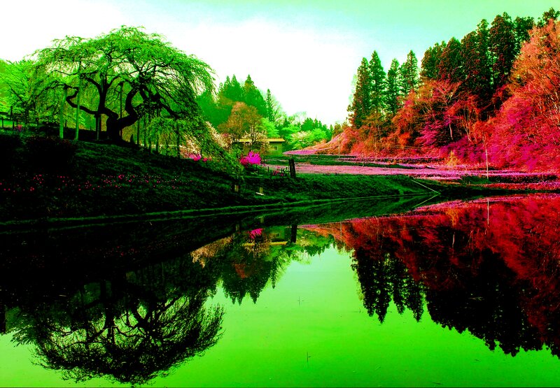 Infrared Landscape with Pond — Green
