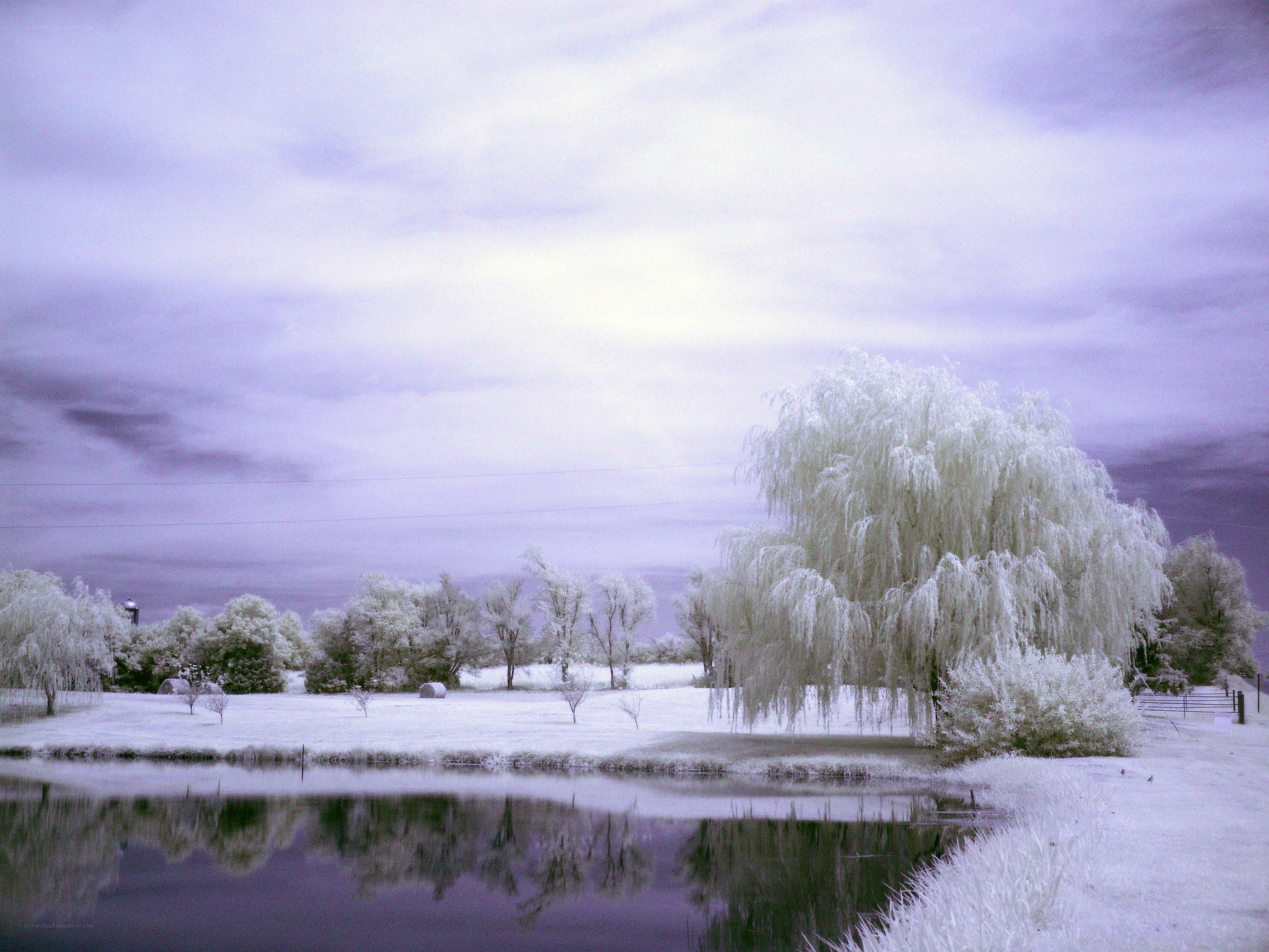 Infrared landscape with pond