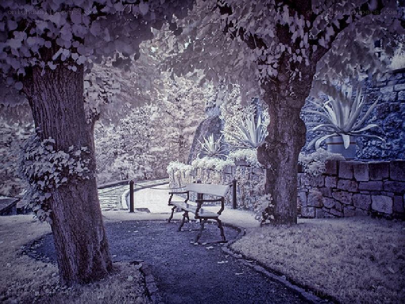 Infrared park bench scene