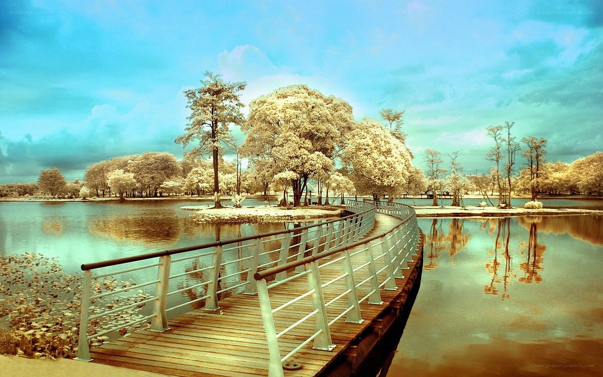 Infrared park bridge scene