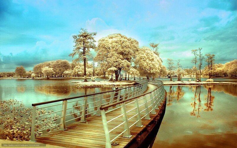 Infrared park bridge