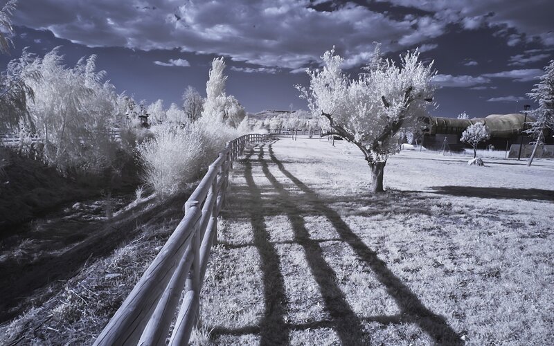 Infrared Park Path — White, Dramatic